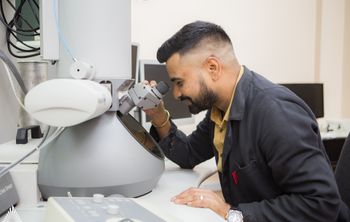 Ученые установили, что наноалюминий повышает урожайность кукурузы