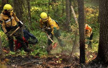 Ученые создали алгоритм для прогноза и предотвращения пожаров