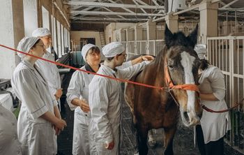 В Вавиловском университете открылся центр функциональной диагностики для животных
