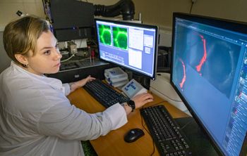 Нижегородские учёные разработали конструкции для быстрого восстановления костных дефектов 