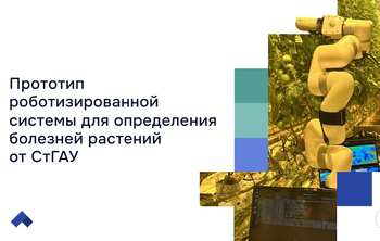 Ставропольские ученые научили нейросеть распознавать заболевания культур