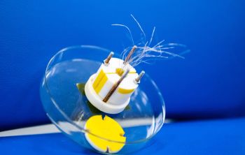 Молодые ученые разработали нейроимплантат для регенерации нервной ткани