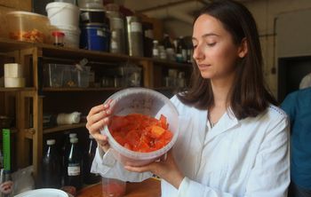 В РХТУ разработали отечественные низкотемпературные связующие