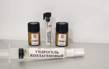 Стоматология будущего: кубанские ученые создают умный гель для десен