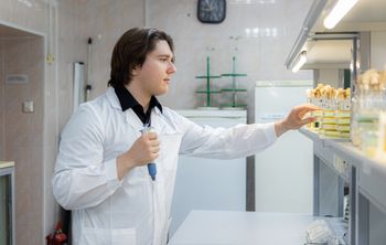 Ученые СурГУ нашли способ повысить эффективность очистки нефтезагрязненных почв на Севере