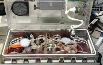 Ученые Сеченовского Университета изучают образцы, вернувшиеся с земной орбиты