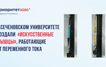 В Сеченовском Университете создали «искусственные мышцы», работающие от переменного тока