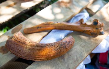 Пещеру «Таврида» открыли для туристов