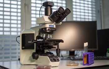 КубГАУ создал биопрепарат для пшеницы