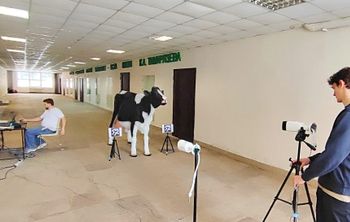 Цифровой портрет вместо рулетки: в Тимирязевке разработали новый способ бесконтактной оценки коров