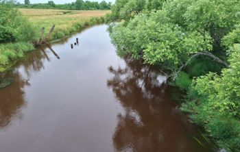 Ученые ПГУ им. Шолом-Алейхема и ДВО РАН оценивают экологическое здоровье региона