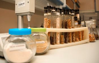 В РЭУ им. Г. В. Плеханова проектируют продукты питания