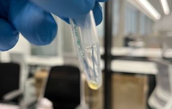 Белгородский ГАУ создает генетическую базу данных для селекции сои