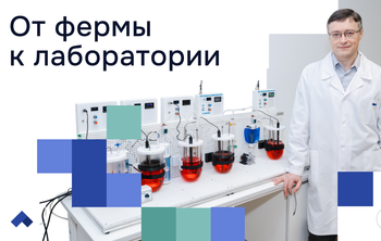 Донские ученые представили искусственный ЖКТ свиньи, который заменит животных в научных испытаниях