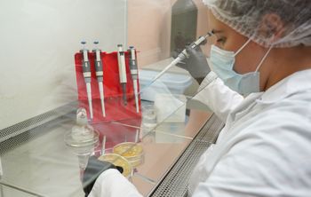 Ученые ВятГУ разработали биосурфактанты для защиты окружающей среды