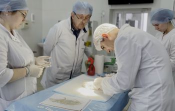 Врачи смогут восстановить нервные клетки с помощью нановолокон