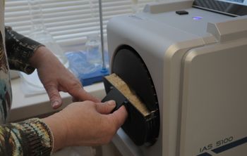 Ученые совершенствуют белок для создания кормовых смесей