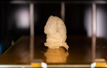 Технология петербургских ученых создает цифровую модель сердца за 20 секунд